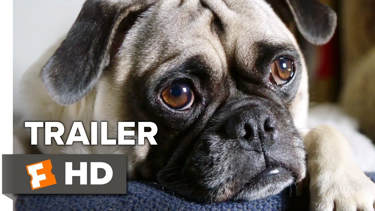 Dog Days Dash Trailer - Vostfr 