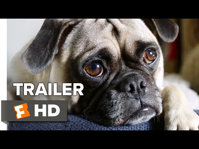 Dog Days” – trailer de Sharu