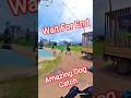 City Dog Catch #streetdogrevival #dog #ytviral #shorts #pets