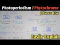 Photoperiodism | SDP | LDP | Phytochrome | Photoperiodism Class 12 In Urdu & Hindi