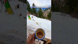 Morning tea with hill view in Manali #travelshorts #himachal #viralvideo