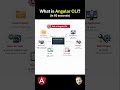 What is Angular CLI ?