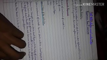 Maths practical file of class 12th by CBSE