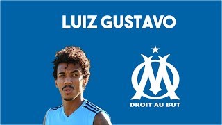 Luiz Gustavo - Goals, Skills & Defence