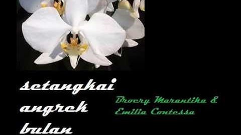 SETANGKAI ANGGREK BULAN Broery Marantika & Emilia Contessa