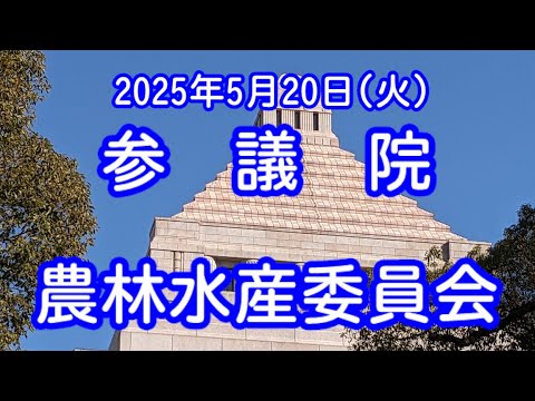 国会中継録画】江藤農相「コメ買ったことない」農林水産委員会