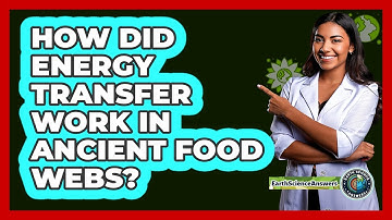 How Did Energy Transfer Work In Ancient Food Webs? - Earth Science Answers