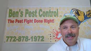Fire Ants Control by Bens Pest Control Port St. Lucie, Palm City & Stuart Florida