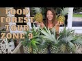Florida Zone 9 | Food Forest Tour | Spring 2020 | Episode 1