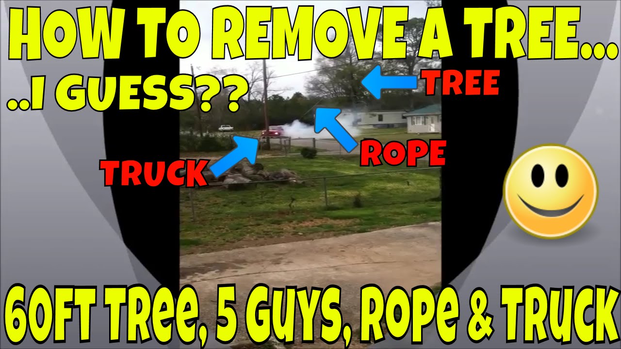 How To Remove a 60ft Tree With a Truck or How Not To Cut Down a Tree ...