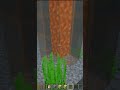 水の中に溶岩を流す裏技!?【マイクラ豆知識 解説 裏技】#shorts