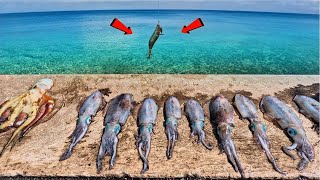 Squid Catching Masterclass That Will Leave You Speechless!!🦑🔥
