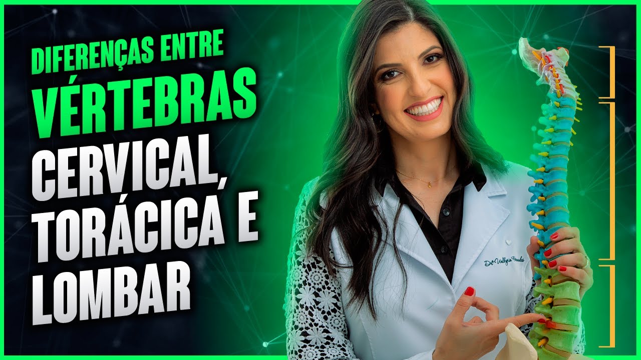 Diferenças entre vértebras cervical, torácica e lombar por Dra. Walkyria Fernandes