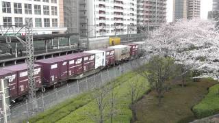 【EF64-1019牽引】 高速貨物 3055レ 通過 @川口