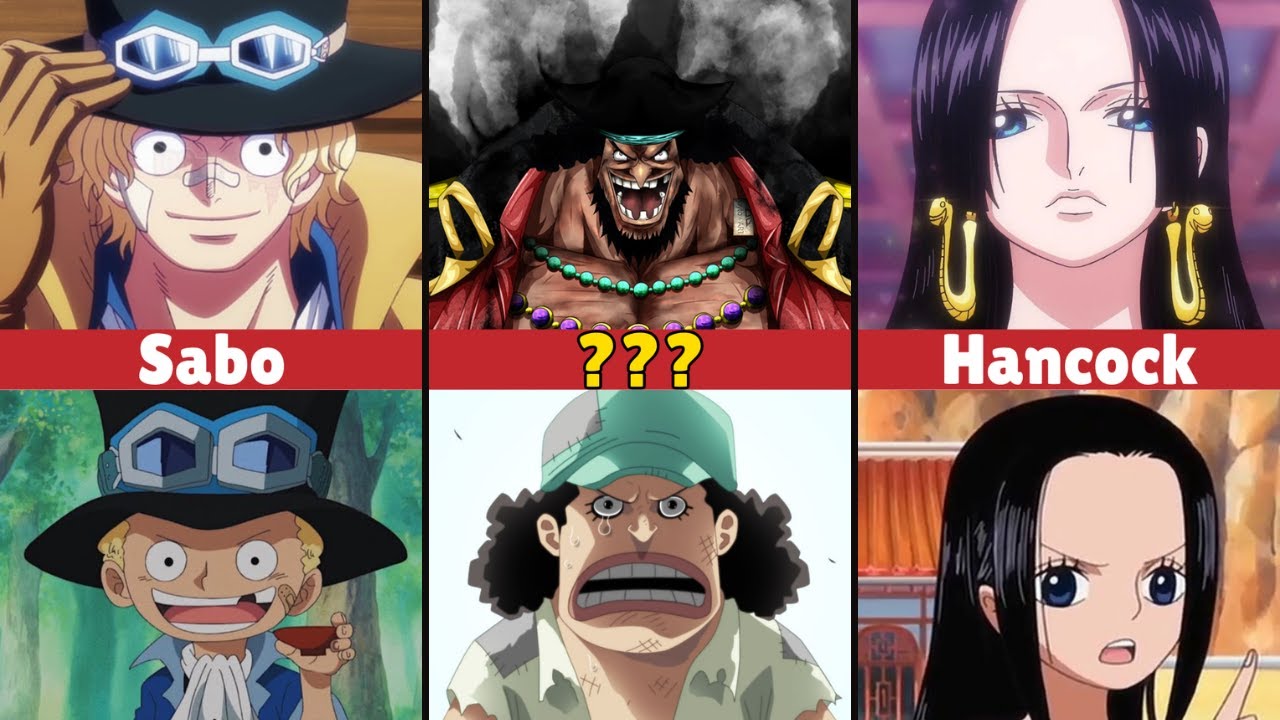 Kid Versions of One Piece Characters