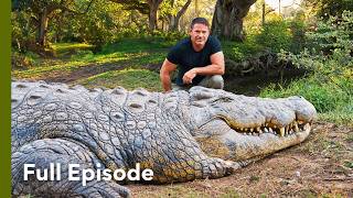 Ancient Predators: The World’s Oldest Crocodile | Croc Watch With Steve Backshall 102