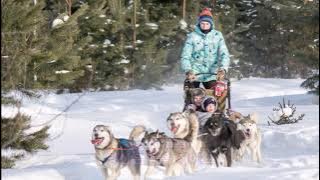 Silver Bells - Pat Boone: with Lyrics(가사번역)