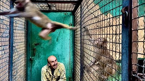 Люся снова пришла к Елисею, но что-то пошло не так, ее схема перестала работать))