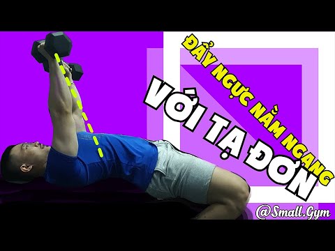 Video Nằm Ngang Đẩy Ngực với Tạ Đơn ( Dumbell Flat Bench... - youtube