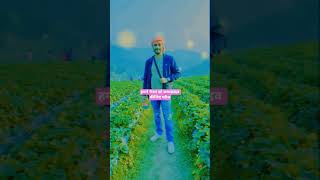 #shorts#video#may#new#luks#video#viral