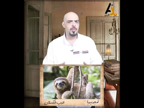 فيديو: ما هو الكائن الحي كله؟