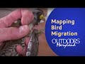 Mapping Bird Migration | Outdoors Maryland