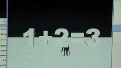 Micheal G Alice Addition