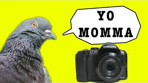 YO Momma loves EVIL cameras - Samsung NX10 Review - DayDayNews