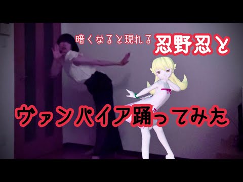 【暗くなると現れる忍野忍と】ヴァンパイア 踊ってみた【AR】