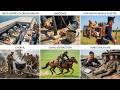 The CRAZIEST Military Food Supply Tactics Explained