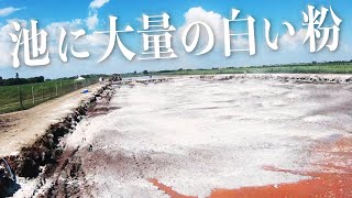 池に大量の白い粉をまき散らす【南米の巨大池の水全部抜く#5】