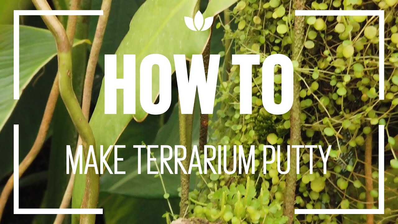 How to make TERRARIUM Putty! | Animal-Safe