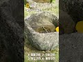 돌문화공원 해설사에게 배워보는 퀴즈 시간 돌문화공원 해설사에게 배워보는 퀴즈 시간