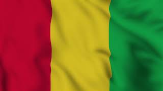 Guinea Flag Animation Full Screen | Guinea Flag Waving Animation - 4K Green Screen Flag #GuineaFlag screenshot 5