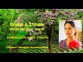 Sanskrutha natya  kalawa  drama  theater lesson  07 part 01