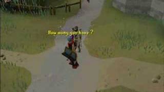 The Runescape Ninja screenshot 1