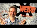 Dharma vlog cults and weird buddhism