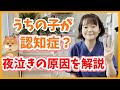 【認知症かも】老犬が夜泣きをする理由と対処法を獣医が解説