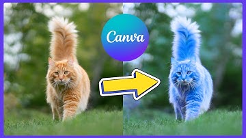 How to Change Image Colors in Canva (Quick & Easy Tutorial)