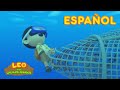 El Tiburón Martillo Común (Español) - Leo, El Explorador Episodio | Animación - Familia - Niños