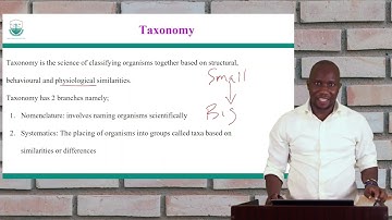 Introduction To Classification