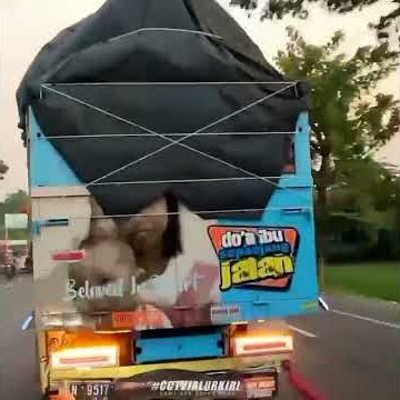 Truk cabe stut jack