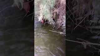 #fishing 🎣