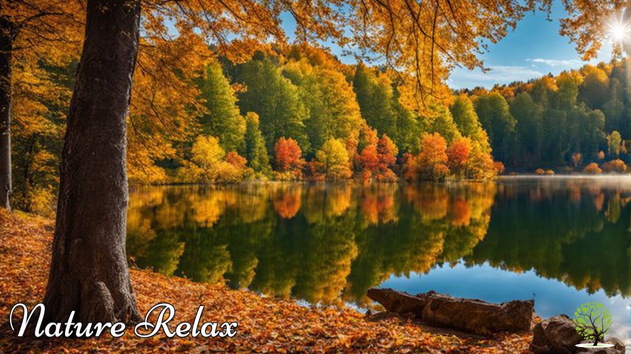 Great relaxing music🍁Nature melodies help reduce stress, heal the soul, stop overthinking & Healing