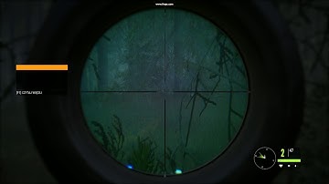 The Hunter: Call of The Wild - disappearing animal bug, Layton Lows