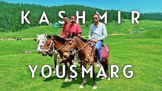 Yousmarg Kashmir 2022 - The Meadow of Jesus | Charar-e-Sharif | Day trip from Srinagar