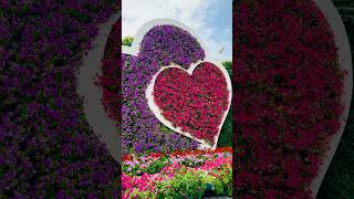 Haiya AlaSalah #azaan #prayer #pray #nature #flowers #relaxing #viral #shorts #video #peacefull