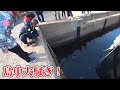 淡水用のカゴを漁師達が離島堤防に仕掛けたら前代未聞の現象が起きた！