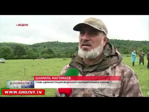 Полный выпуск новостей 12.06.16
