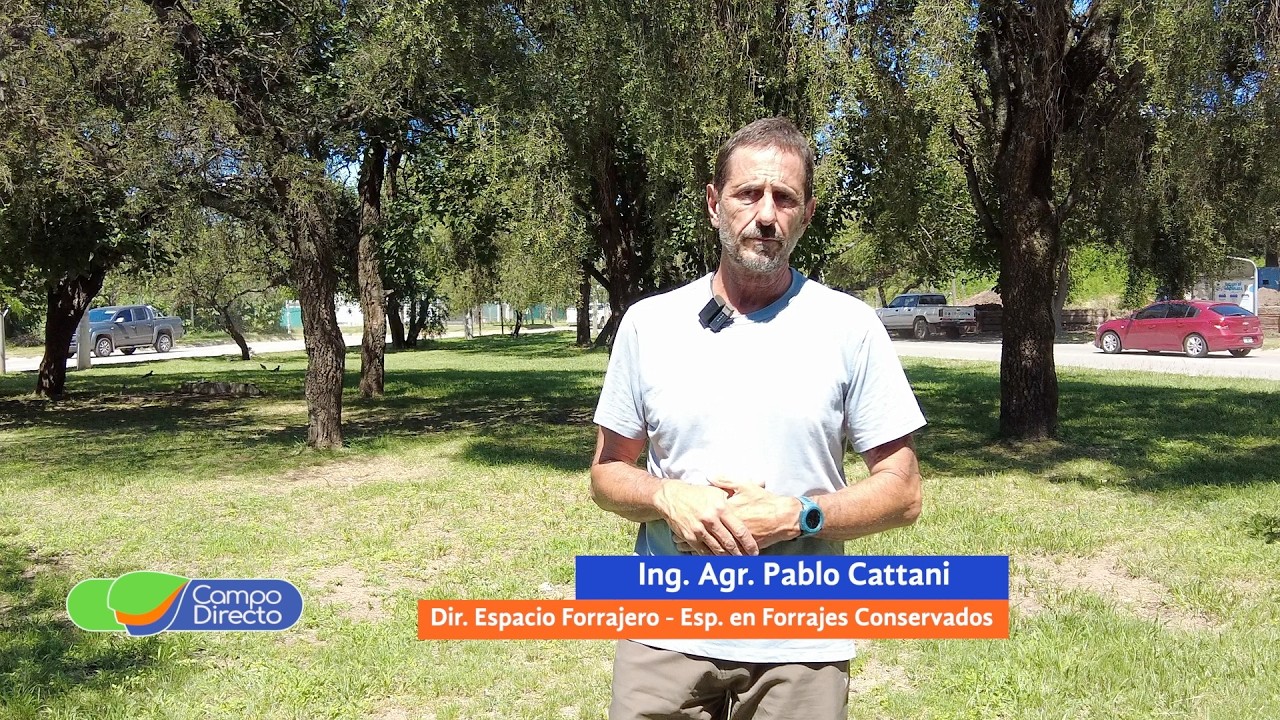 La importancia de conocer tamaño de partículas y partido de grano